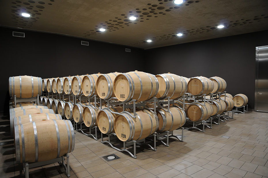The Campo del Sole winery in Bertinoro: Photo 16