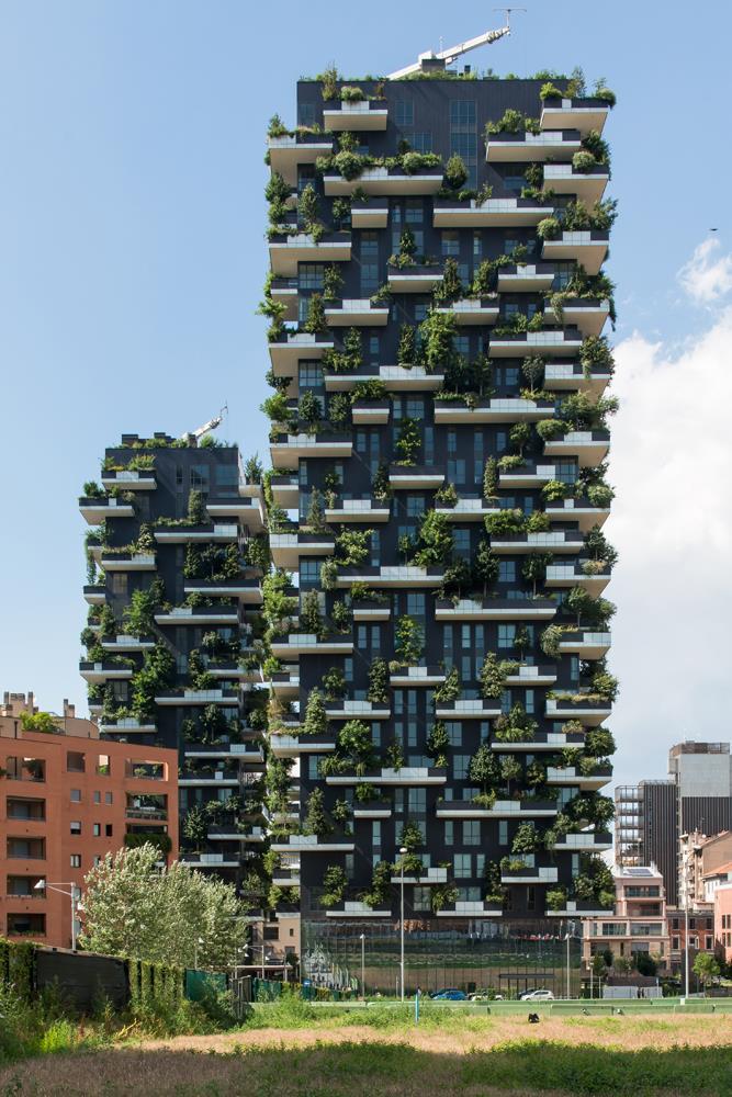 Vertical Forest: Photo 6