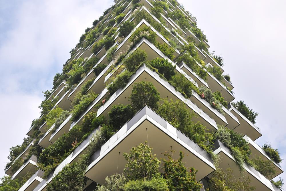 Vertical Forest: Photo 7