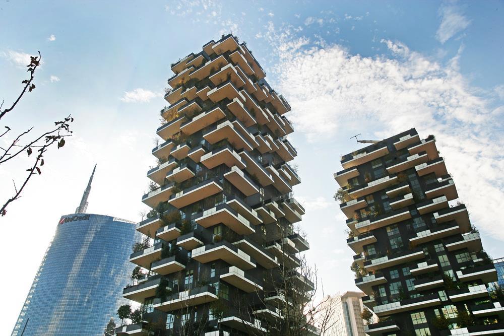 Vertical Forest: Photo 5