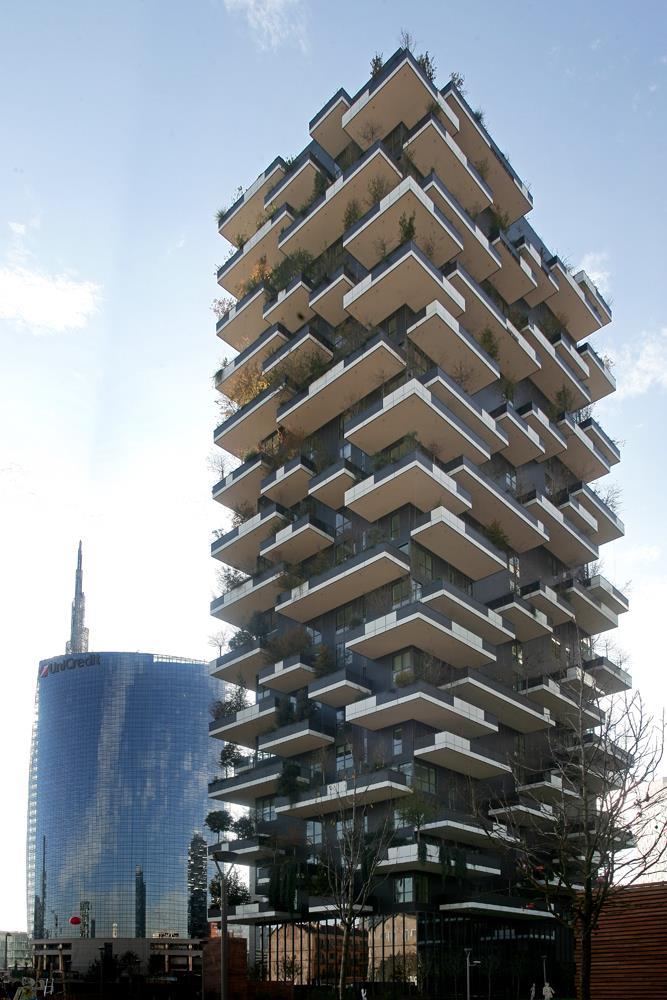 Vertical Forest: Photo 7