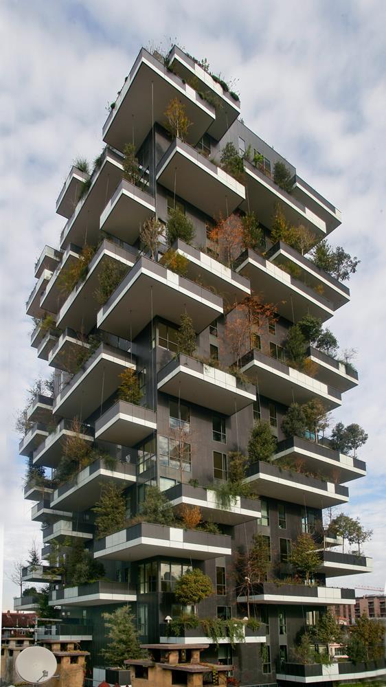 Vertical Forest: Photo 28