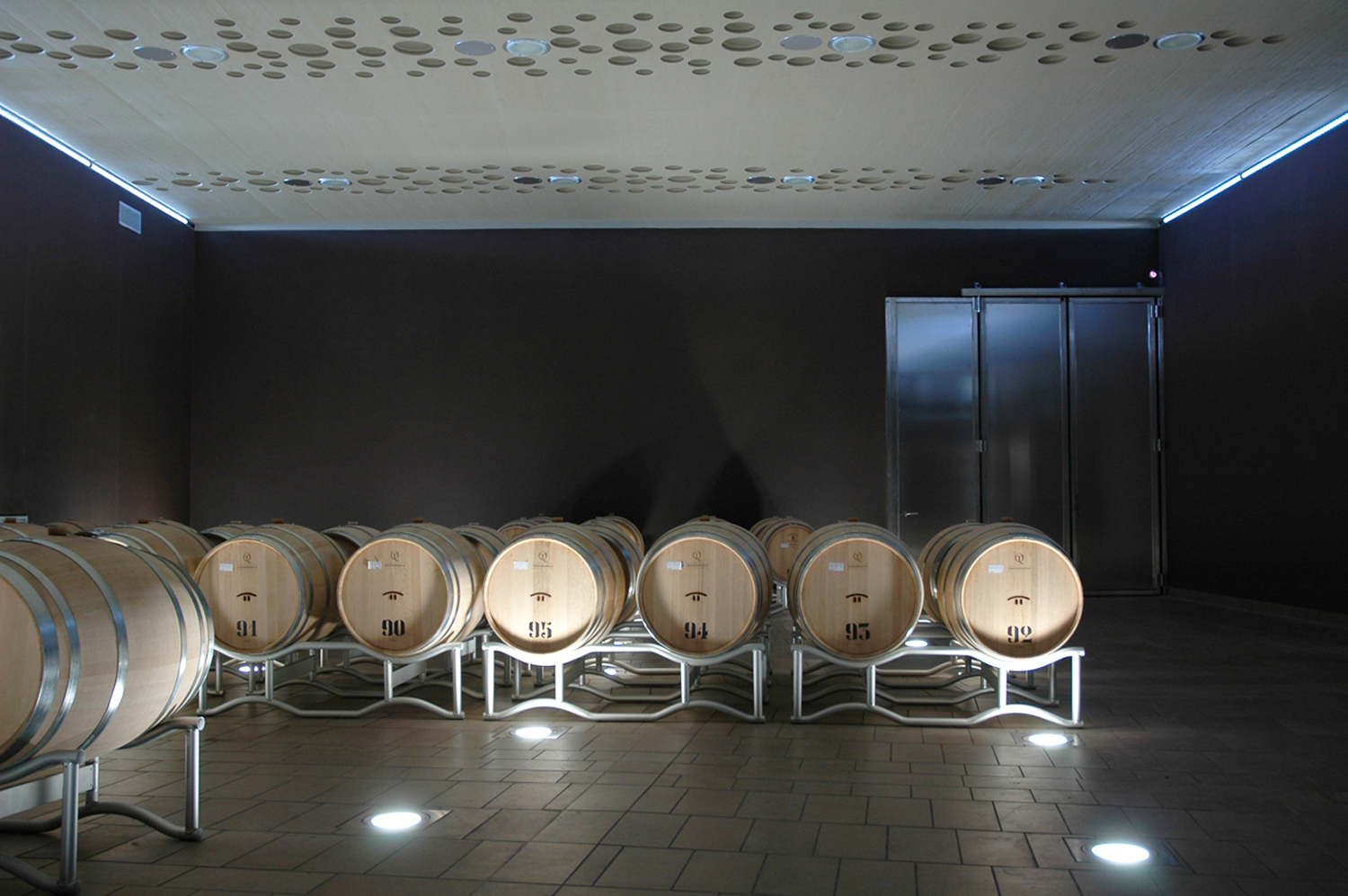 The Campo del Sole winery in Bertinoro: Photo 13