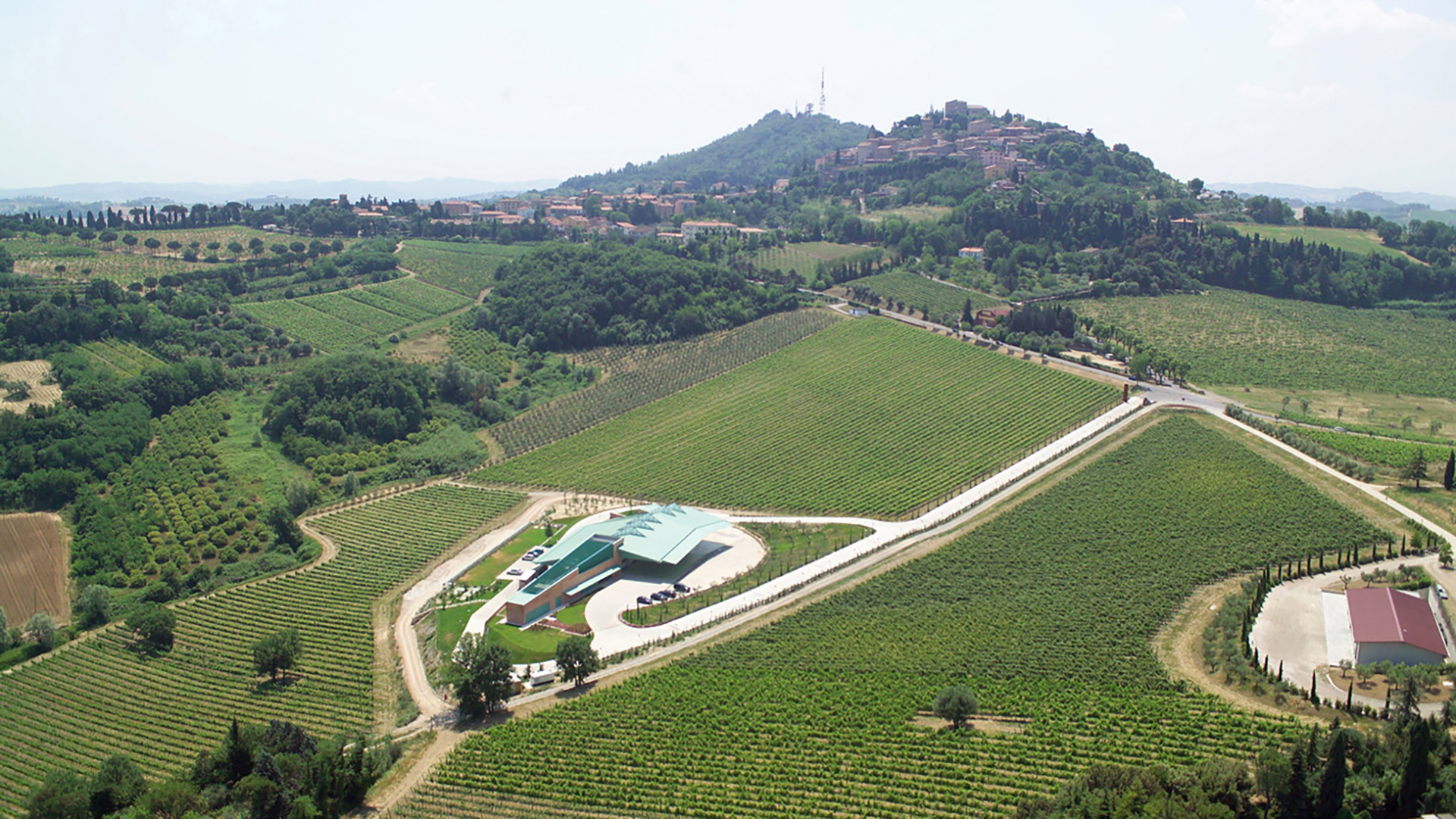 The Campo del Sole winery in Bertinoro: Photo 18